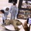 Baby Mammoth Preserved for 50,000 Years Is Unveiled in Russia’s Siberia