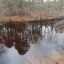 Group Says New Jersey Toxic Waste Dumping Caused $1B in Harm, Calls Settlement Inadequate