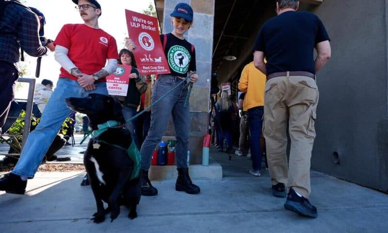 Starbucks Workers Begin Strikes That Could Spread to Hundreds of US Stores by Christmas Eve