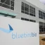 bluebird bio (NASDAQ:BLUE) Shares Up 15.3% – Time to Buy?