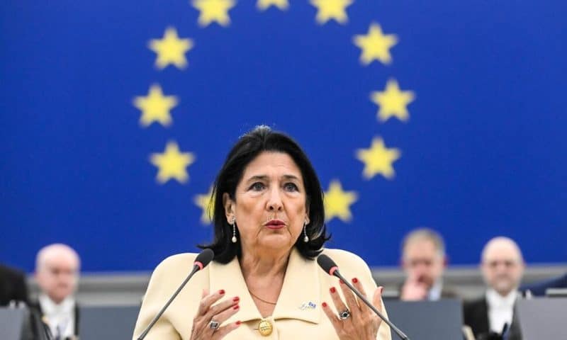 Georgia’s Outgoing President Urges EU to Use More Leverage to Back Protesters