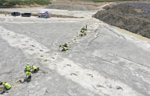 ‘Dinosaur Highway’ Tracks Dating Back 166 Million Years Are Discovered in England