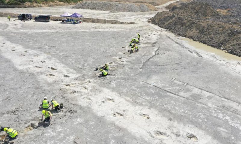 ‘Dinosaur Highway’ Tracks Dating Back 166 Million Years Are Discovered in England