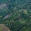 South Korea to Shrink Biomass Energy Subsidies After Criticism Over Link to Deforestation