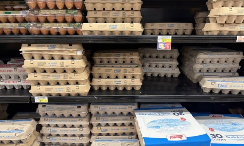 Egg prices drop as demand ‘sharply’ falls among inflation-weary customers unwilling to shell out