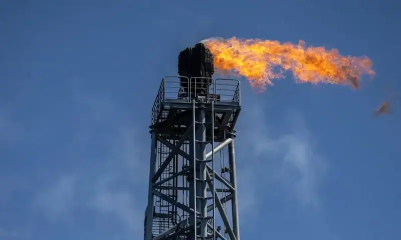 Oil Steadies as Narrowing Spreads Point to Softer Conditions