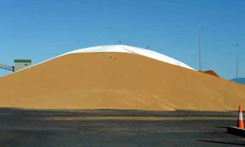 GrainCorp Shares Plunge Most in a Year After Earnings Slump