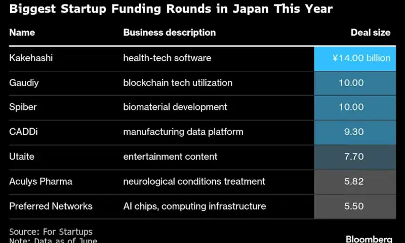 AI Startup Turing Secures Denso’s Backing at $388 Million Value
