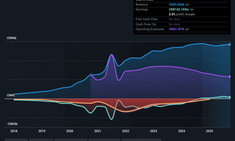 Youdao (NYSE:DAO) EPS Volatility Tests Bullish AI Profitability Narrative In Q3 2025