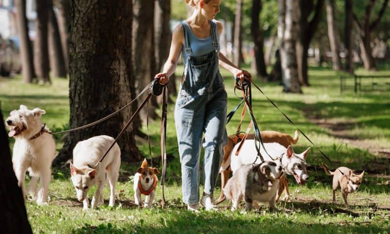 72% of US workers say they rely on a second income, while 26% say they need the side job just to cover the bills