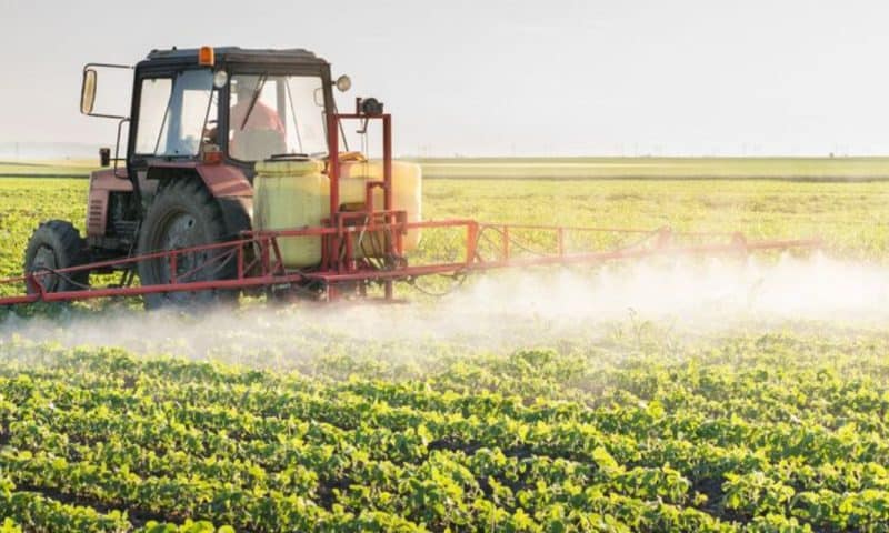 A Look At SQM (NYSE:SQM) Valuation As Board Backs Higher 50% 2025 Dividend Payout