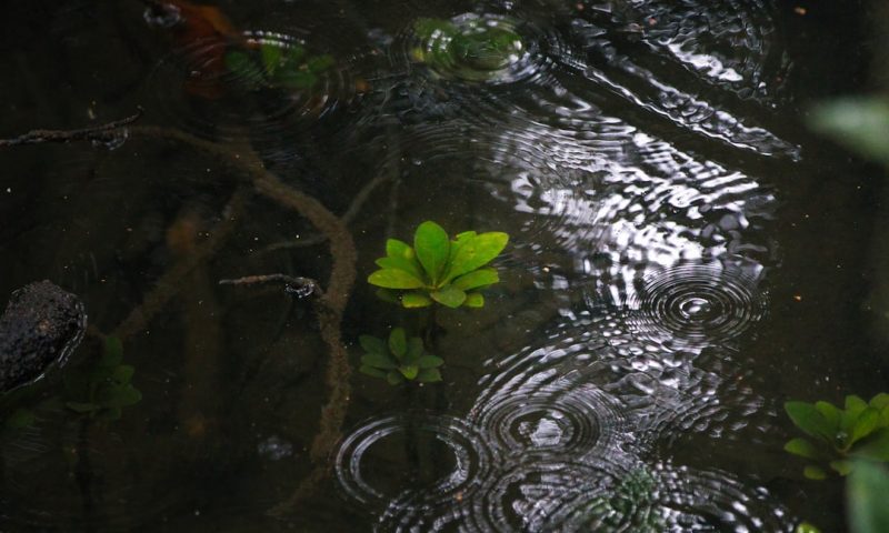 Why Dark Pool Prints Signal Hidden Institutional Moves That Could Transform Your Trading Strategy