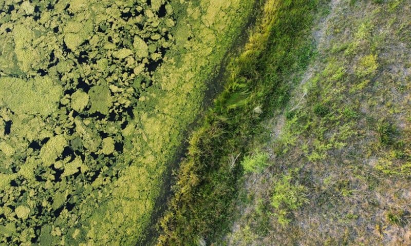 Global Investors Turn Their Focus to Dark Pool Print Activity Like Never Before