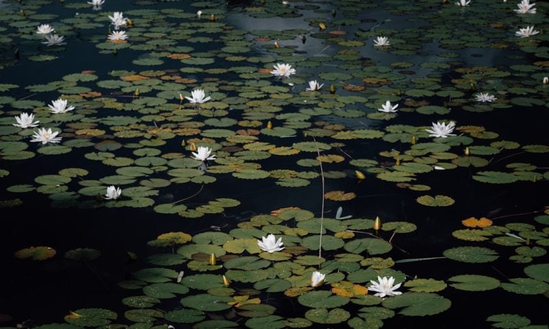 Massive Dark Pool Print Activity Sends Shockwaves Through Global Investment Communities