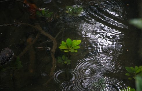 Inside the Dark Pool Print Phenomenon That Has Global Investors Scrambling for Data