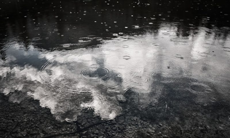 Inside Dark Pool Prints That Signal Smart Money Movement