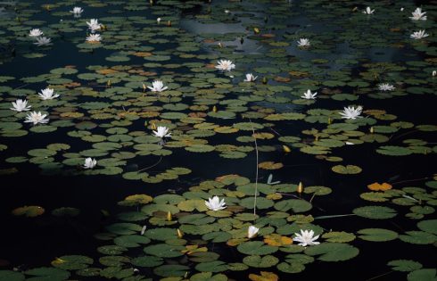 Smart Money Leaves Digital Footprints Through Dark Pool Print Analysis