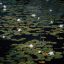 Smart Money Leaves Digital Footprints Through Dark Pool Print Analysis
